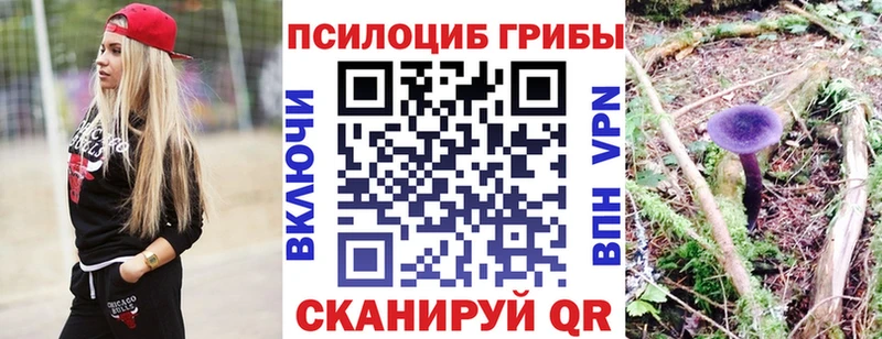 Галлюциногенные грибы Psilocybine cubensis дарк нет наркотические препараты Константиновск